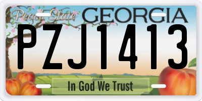 GA license plate PZJ1413
