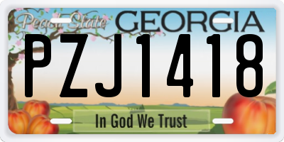 GA license plate PZJ1418