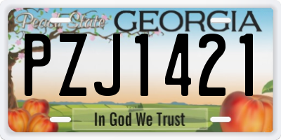 GA license plate PZJ1421
