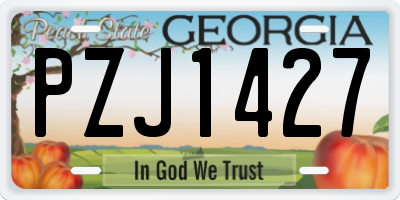 GA license plate PZJ1427