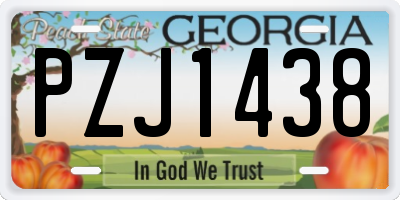 GA license plate PZJ1438