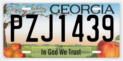 GA license plate PZJ1439