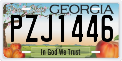 GA license plate PZJ1446