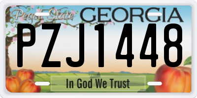 GA license plate PZJ1448