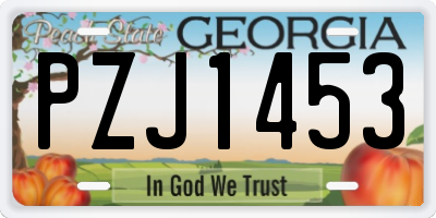 GA license plate PZJ1453