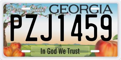 GA license plate PZJ1459
