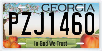 GA license plate PZJ1460