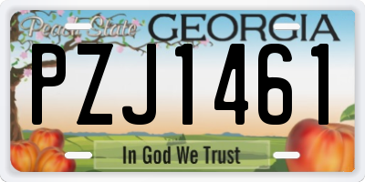 GA license plate PZJ1461