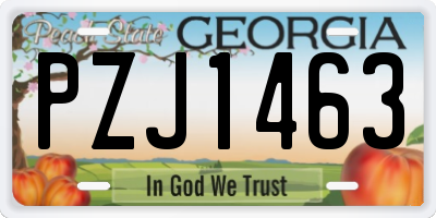 GA license plate PZJ1463