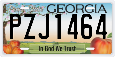 GA license plate PZJ1464