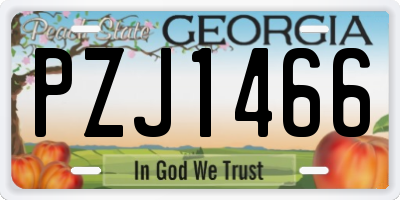 GA license plate PZJ1466