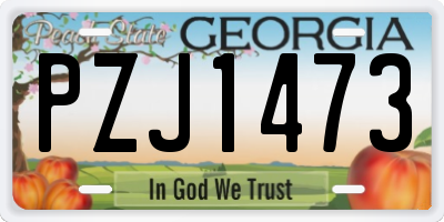 GA license plate PZJ1473