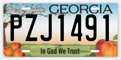 GA license plate PZJ1491