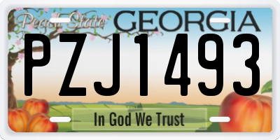 GA license plate PZJ1493
