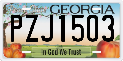 GA license plate PZJ1503