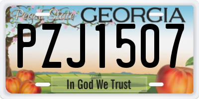 GA license plate PZJ1507