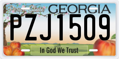 GA license plate PZJ1509