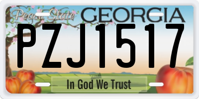 GA license plate PZJ1517