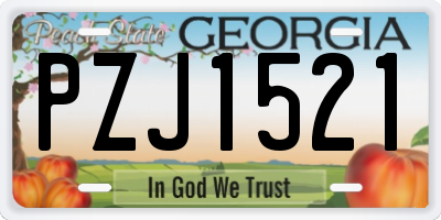 GA license plate PZJ1521