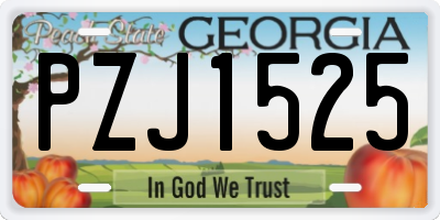 GA license plate PZJ1525