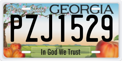 GA license plate PZJ1529