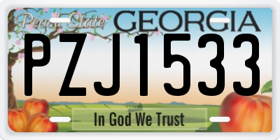 GA license plate PZJ1533