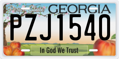 GA license plate PZJ1540