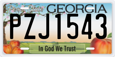 GA license plate PZJ1543