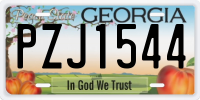GA license plate PZJ1544