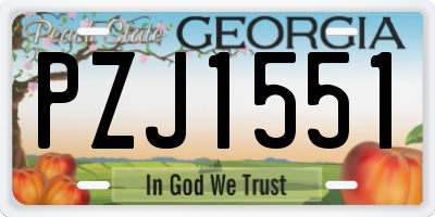 GA license plate PZJ1551