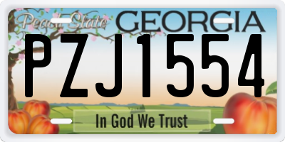 GA license plate PZJ1554