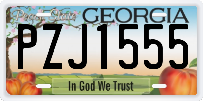 GA license plate PZJ1555
