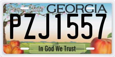 GA license plate PZJ1557