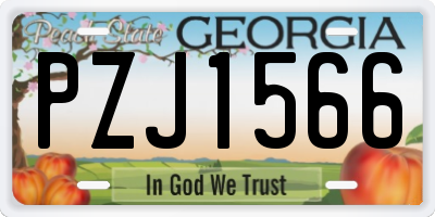 GA license plate PZJ1566