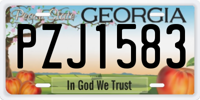 GA license plate PZJ1583