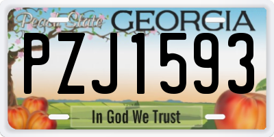 GA license plate PZJ1593