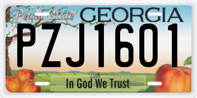 GA license plate PZJ1601