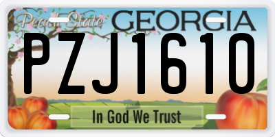 GA license plate PZJ1610