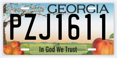 GA license plate PZJ1611