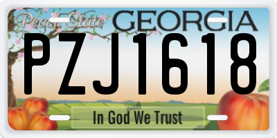 GA license plate PZJ1618