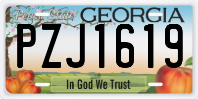 GA license plate PZJ1619