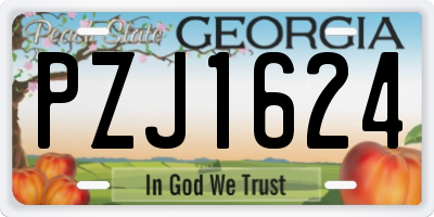 GA license plate PZJ1624