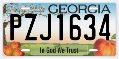 GA license plate PZJ1634