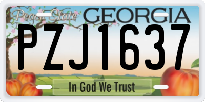 GA license plate PZJ1637