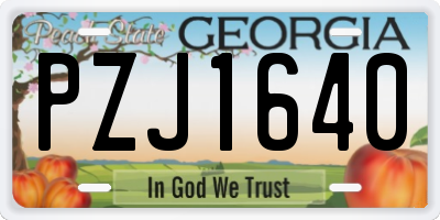 GA license plate PZJ1640