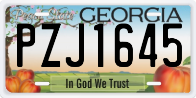 GA license plate PZJ1645