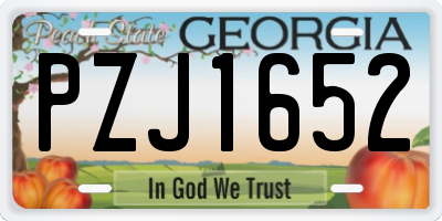 GA license plate PZJ1652
