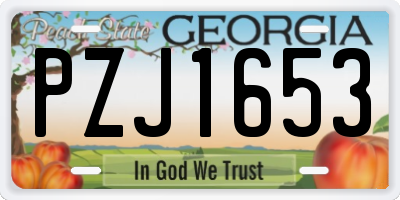 GA license plate PZJ1653
