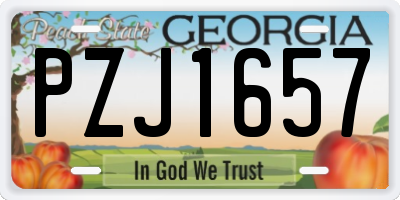 GA license plate PZJ1657