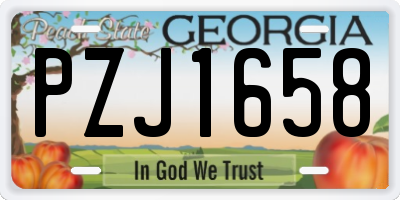 GA license plate PZJ1658